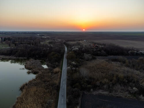 Swampy sunset